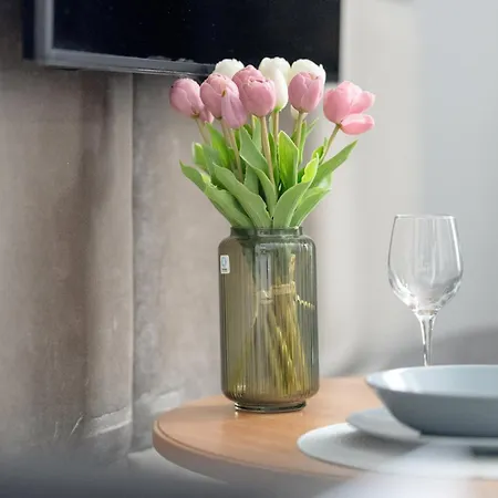 Appartement Przytulne Studia Very Berry W Poznaniu Blisko Parku By Renters *